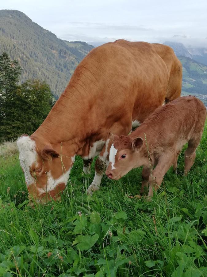 Vila Hahnenkammblick Kitzbühel Exteriér fotografie