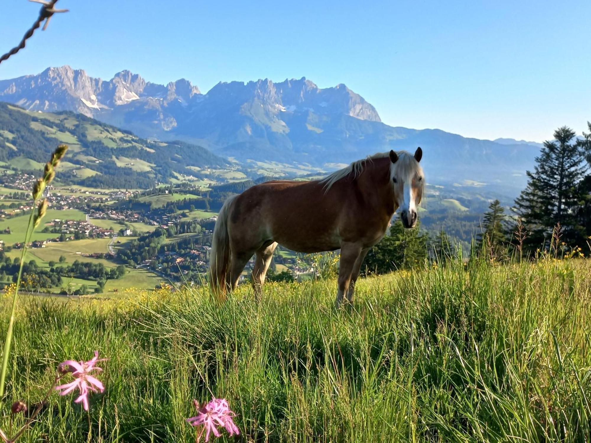 Vila Hahnenkammblick Kitzbühel Exteriér fotografie