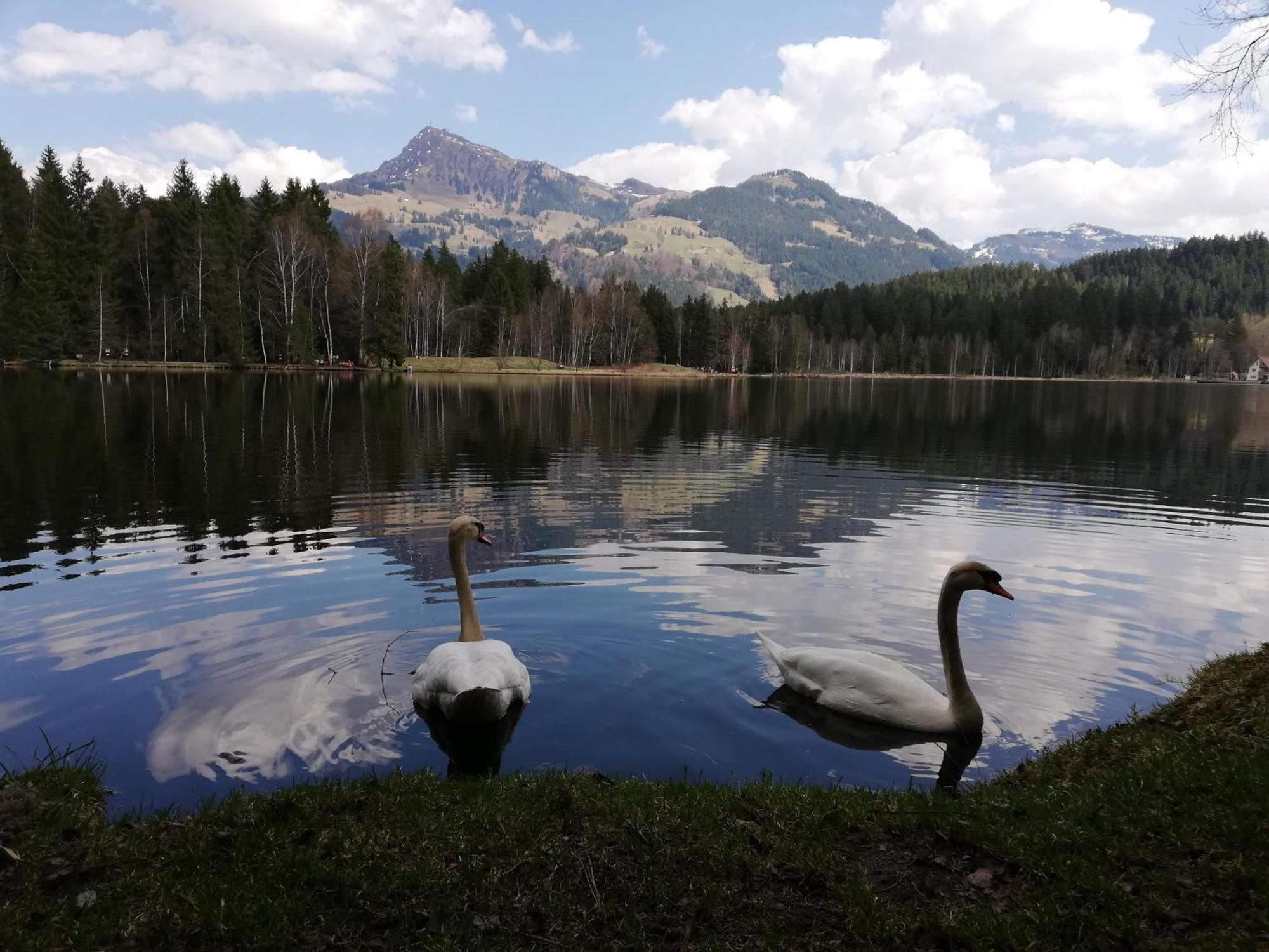 Vila Hahnenkammblick Kitzbühel Exteriér fotografie